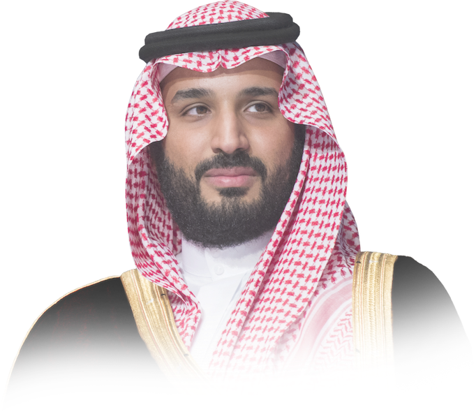 Prince Mohamed Bin Salman Together